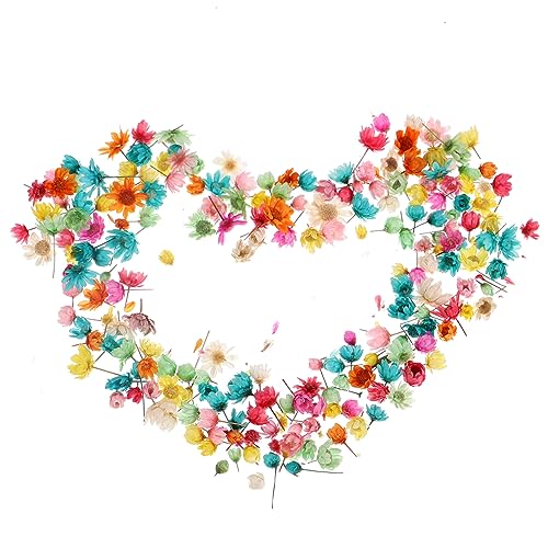 GOOHOCHY Getrocknetes Blumenmaterial Kein Stiel Kristallharz Handgefertigtes Blumenaccessoire Ideal Für Dekorationskunstprojekte GOOHOCHY Getrocknetes Blumenmaterial Kein Stiel Kristallharz Handgefertigtes Blumenaccessoire Ideal Für Dekorationskunstprojekte von GOOHOCHY
