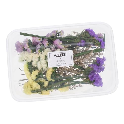 GOOHOCHY 1 Schachtel Trockenblumen Deko für Schwimmkerzen und Vasenfüllung Natürliche Getrocknete Blüten Geeignet für DIY Bastelprojekte Langlebig und Vielseitig Einsetzbar Party Dekoration von GOOHOCHY