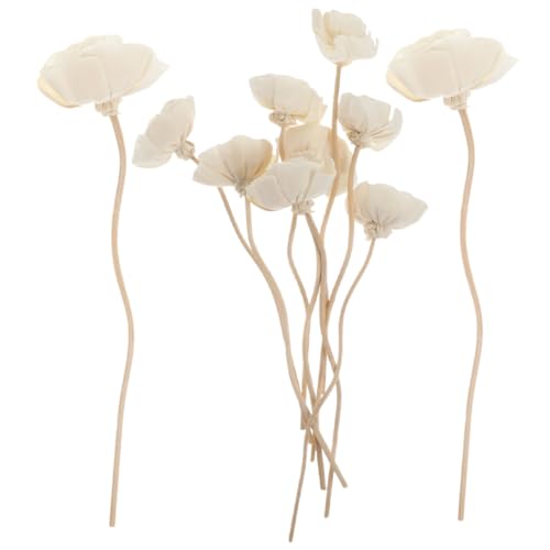 GOOHOCHY 10st Ätherische Ölstäbchen Blumen-diffusor-Sticks Duftstäbchen Für Getrocknete Blüten Diffusorstäbe Für Künstliche Blumen Stiftminen Schilfrohrstäbe Schmücken Ätherisches Öl Rattan von GOOHOCHY