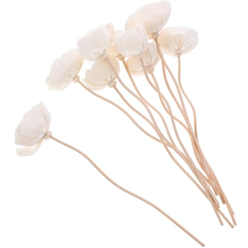 GOOHOCHY 10st Ätherische Ölstäbchen Blumen-diffusor-Sticks Duftstäbchen Für Getrocknete Blüten Diffusorstäbe Für Künstliche Blumen Stiftminen Schilfrohrstäbe Schmücken Ätherisches Öl Rattan von GOOHOCHY