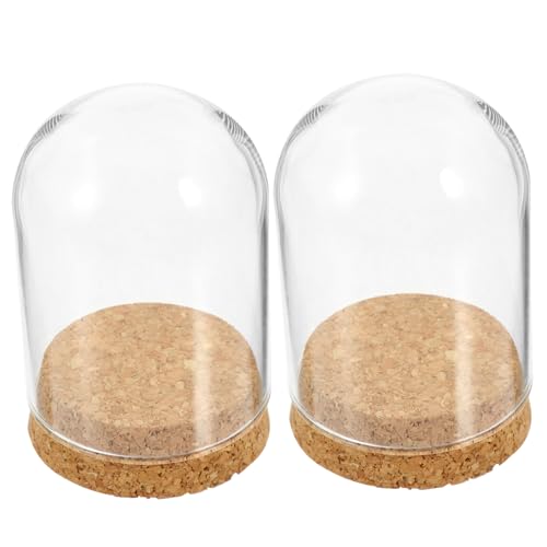 GOOHOCHY 2 Sätze Kreative Glasglocke für Konservierte Blumen Teiliges mit Korkstopfen für Stilvolle Tischdekoration und DIY Projekte als Valentinstagsgeschenk von GOOHOCHY