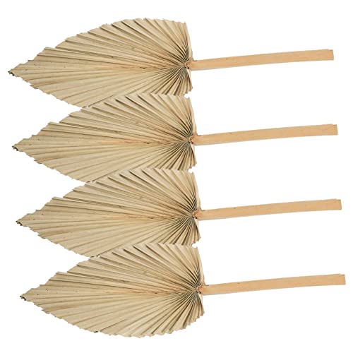 GOOHOCHY 4stücke Natürliche Getrocknete Palmblätter Dekoration Für Boho-Hochzeiten Frische Palmblatt-Verzierungen Für Vasen Blumenwände Und Festliche Anlässe von GOOHOCHY