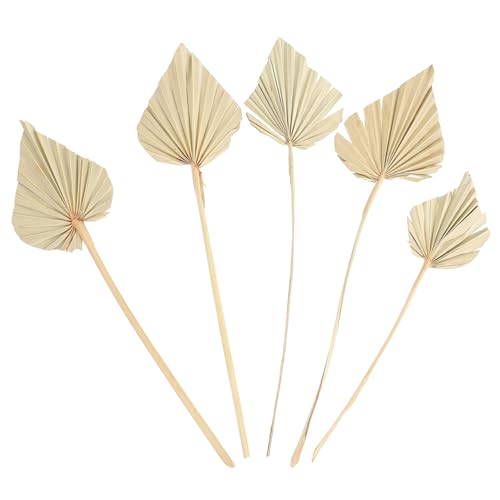 GOOHOCHY 5 Stücke Tropical Dekorationen Kunst Trockene Pflanze Blätter Anordnung Ornamente Für Hochzeit Party von GOOHOCHY
