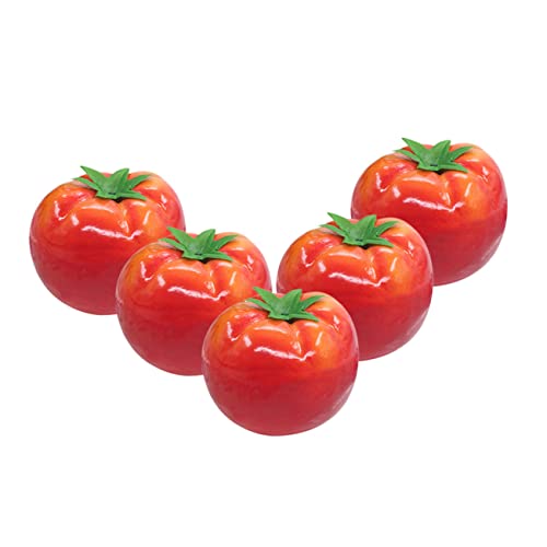 GOOHOCHY 5 Stück Künstliche Tomaten Lebensechte Simulation Für Tischdekoration Garten Und Schaufenster Robuste Deko Modelle Für Wohnaccessoires Und Lernspielzeug GOOHOCHY 5 Stück Künstliche Tomaten Lebensechte Simulation Für Tischdekoration Garten Und Schaufenster Robuste Deko Modelle Für Wohnaccessoires Und Lernspielzeug von GOOHOCHY