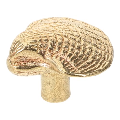 GOOHOCHY Messing Schrankgriff Muschelform Kompakt Leicht Robust Möbelknopf für Küche Bad Wohnzimmer Schlafzimmer Büro Vielseitig Einfache Montage Langlebig GOOHOCHY Messing Schrankgriff Muschelform Kompakt Leicht Robust Möbelknopf für Küche Bad Wohnzimmer Schlafzimmer Büro Vielseitig Einfache Montage Langlebig von GOOHOCHY