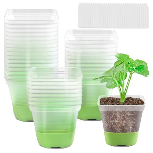 GOONMILL 36 Packungen 10,2 cm quadratische Kunststoff-Kindertöpfe, transparenter Pflanztopf mit weichem Silikonboden für einfaches Umpflanzen, Blumentöpfe mit Drainagelöchern, Wiederverwendbare von GOONMILL