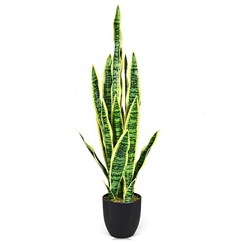 GOPLUS Künstliche Pflanze im Topf, Kunstpflanzen mit Echten Stämmchen, Sansevieria Trifasciata Prain im Blumentopf, Zimmerpflanze, Deko Pflanze für Zimmer Büro Garden, Grün GOPLUS Künstliche Pflanze im Topf, Kunstpflanzen mit Echten Stämmchen, Sansevieria Trifasciata Prain im Blumentopf, Zimmerpflanze, Deko Pflanze für Zimmer Büro Garden, Grün von GOPLUS