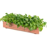 Blumenkasten Holz, Pflanzkasten Blumenbeet mit 2 Entwässerungslöchern, Gartrnbeet Blumenkübel für Garten & Balkon, 91,5 x 18 x 16cm - Goplus von GOPLUS