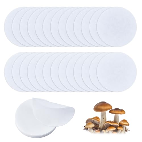 GORGECRAFT 100Stk Synthetische Filterscheiben Mit 2 Geschwindigkeiten 90mm Durchmesser Quantitative Filterpapierkreise Langsamer Fluss/Schnelle Geschwindigkeit Breite Öffnung Trichterfilterpapier von GORGECRAFT