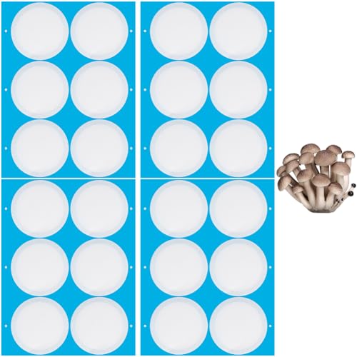 GORGECRAFT 24 Stück 4 Blatt Synthetische Filterpapieraufkleber 76mm Filterscheibe 0.3 μm Weite Öffnung Einmachglasfilter Patch Selbstklebender Klebebandaufkleber Für Pilzzuchtglasdeckel Einmachgläser GORGECRAFT 24 Stück 4 Blatt Synthetische Filterpapieraufkleber 76mm Filterscheibe 0.3 μm Weite Öffnung Einmachglasfilter Patch Selbstklebender Klebebandaufkleber Für Pilzzuchtglasdeckel Einmachgläser von GORGECRAFT