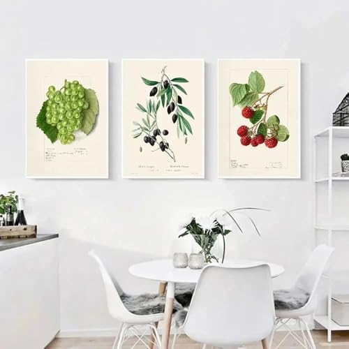 Leinwanddruck, Gemälde, Vintage-Obst-Poster, Avocado-Erdbeer-Poster, minimalistische Wandkunst für Wohnzimmer, Heimdekoration (60 x 85 cm, 3 Stück) von GOSRD