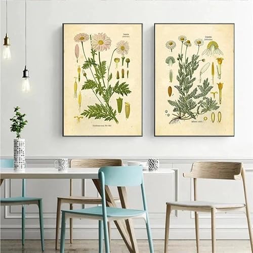 Poster und Drucke, Leinwandgemälde, Vintage-Wildpflanze, botanische Blume, Wandkunst, Poster, Wandbilder für Wohnzimmer, Wanddekoration (30 x 45 cm, 2 Stück) von GOSRD