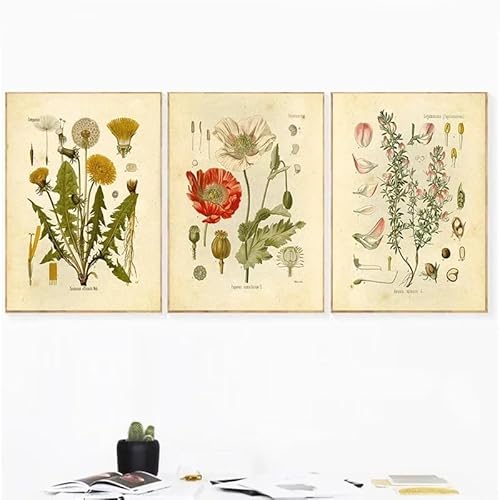 Poster und Drucke, Leinwandgemälde, Vintage-Wildpflanze, botanische Blume, Wandkunst, Poster, Wandbilder für Wohnzimmer, Wanddekoration (40 x 55 cm, 3 Stück) von GOSRD