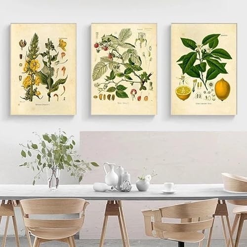 Poster und Drucke, Leinwandgemälde, Vintage-Wildpflanze, botanische Blume, Wandkunst, Poster, Wandbilder für Wohnzimmer, Wanddekoration (60 x 85 cm, 3 Stück) von GOSRD