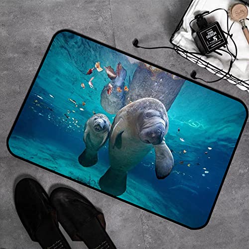 GOSUNA Memory Foam Badezimmer- 40 x 60 cm,Manatee-Mutter und Baby auf See, Florida,Badteppich Saugfähige Rutschfester Badvorleger Waschbar Badematte von GOSUNA