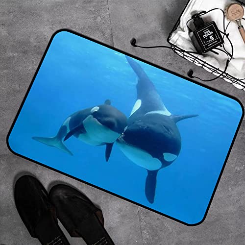 GOSUNA Memory Foam Badezimmer- 40 x 60 cm,Orca Killerwale,Badteppich Saugfähige Rutschfester Badvorleger Waschbar Badematte von GOSUNA