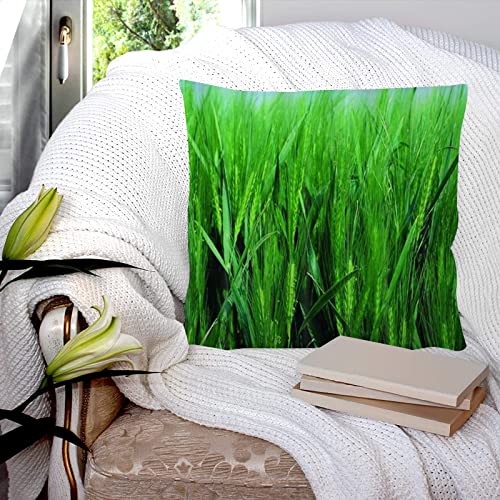 Kissenbezug 45x45 cm,Sommerweizen Weizenfeld Maisfeld, Kissenbezug Dekorative Quadrat Sofa Kissenbezug für Home Decor Favor, mit unsichtbarem Reißverschluss von GOSUNA