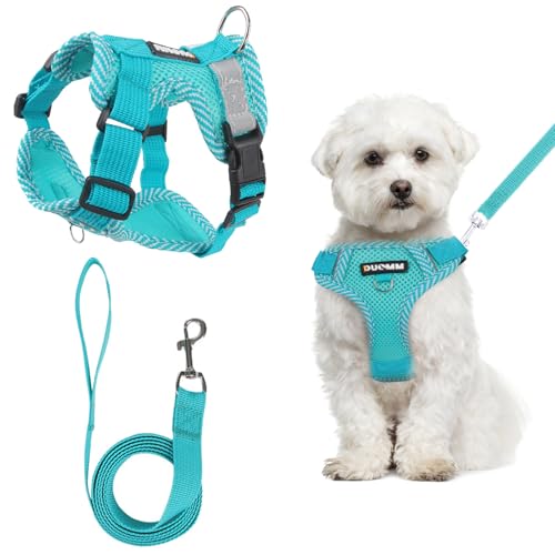 Anti Zug Hundegeschirr Kleine Mittelgroße Hunde, Mit Hundeleine Set,Atmungsaktiv Geschirr Hund Hundegeschirr Leuchtend, L Anti Zug Hundegeschirr Kleine Mittelgroße Hunde, Mit Hundeleine Set,Atmungsaktiv Geschirr Hund Hundegeschirr Leuchtend, L von GOTDYBST