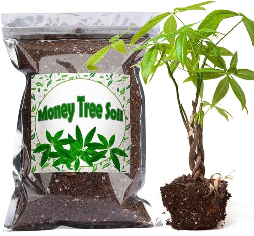 Bio-Geldbaum-Erde Mischung 10L, Zimmerpflanzen-Blumenerde für alle getopften Geldbäume, Gesunde Zimmerpflanzen drinnen züchten von GOTVUGE