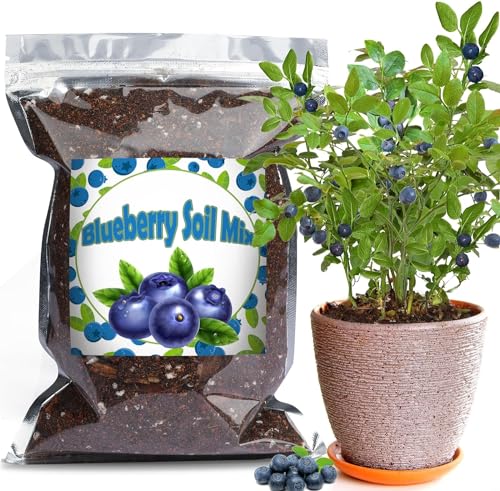 Bio-Heidelbeer-Erde Mischung 1L, Zimmerpflanzen-Blumenerde für alle getopften Heidelbeeren, Gesunde Zimmerpflanzen drinnen züchten von GOTVUGE