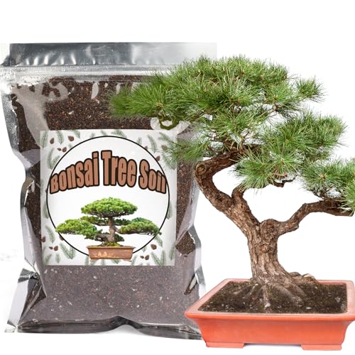 Bonsai-Erde-Mischung gebrauchsfertig, organische Bonsai-Baum-Erde passend für kleine Bonsai-Töpfe, geeignet für Bonsai-Sämlinge, Umtopfen oder Bonsai-Starter-Set (2L) von GOTVUGE