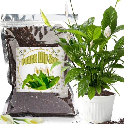 GOTVUGE Bio-Friedenslilien-Erde Mischung 1L, Zimmerpflanzen-Blumenerde zum Einpflanzen, Wachsen oder Umtopfen von Spathiphyllum-Pflanzen, Gesunde Zimmerpflanzen drinnen züchten von GOTVUGE