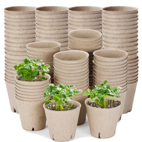 GOTVUGE 50 Stück 8cm Faser-Saatguttöpfe für Sämlinge, torffreie biologisch abbaubare kleine Baumschulpflanzen für Pflanzen GOTVUGE 50 Stück 8cm Faser-Saatguttöpfe für Sämlinge, torffreie biologisch abbaubare kleine Baumschulpflanzen für Pflanzen von GOTVUGE