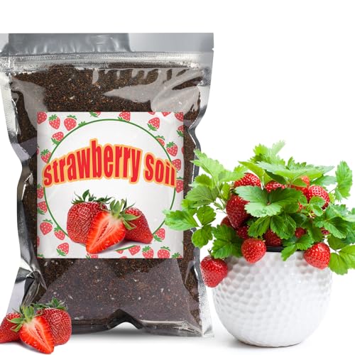 GOTVUGE Bio-Erdbeer-Erde Mischung 10L, Zimmerpflanzen-Blumenerde für alle getopften Erdbeerpflanzen, Gesunde Zimmerpflanzen drinnen züchten GOTVUGE Bio-Erdbeer-Erde Mischung 10L, Zimmerpflanzen-Blumenerde für alle getopften Erdbeerpflanzen, Gesunde Zimmerpflanzen drinnen züchten von GOTVUGE