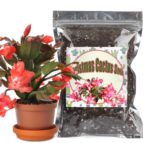 GOTVUGE Weihnachtskaktus-Pflanzerdemischung, ideal für Sukkulenten, Weihnachtskakteen und andere Zimmerpflanzen in Töpfen (4L) von GOTVUGE