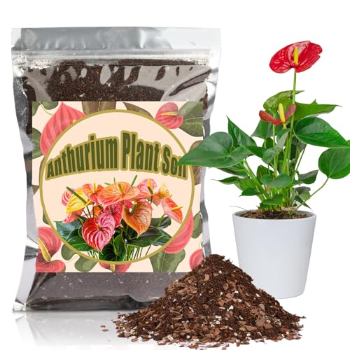 GOTVUGE Premium Blumenerde für Anthurium & Zimmerpflanzen – Optimale Entwässerung, Ohne Zusatzstoffe | Hochwertige Zimmerpflanzen Erde Mischung (2L) von GOTVUGE