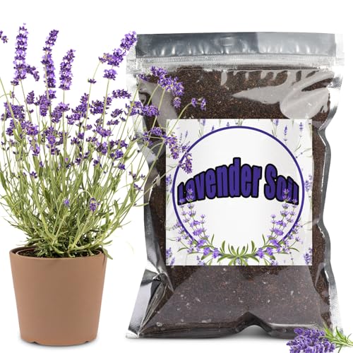 Premium Lavendel-Pflanzmischung, fördert die Lavendelblüte, perfekt für den Innen- und Außenbereich (10L) von GOTVUGE