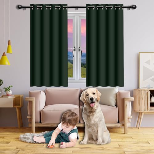 Gardinen Blickdichte 124 x 168 cm Gardine Schlafzimmer Ösen Thermo Verdunkelnd Gardinen Ösen Vorhang Vielen Farben Und Größen für Schlafzimmer, Dunkelgrün Gardinen Blickdichte 124 x 168 cm Gardine Schlafzimmer Ösen Thermo Verdunkelnd Gardinen Ösen Vorhang Vielen Farben Und Größen für Schlafzimmer, Dunkelgrün von GOUER