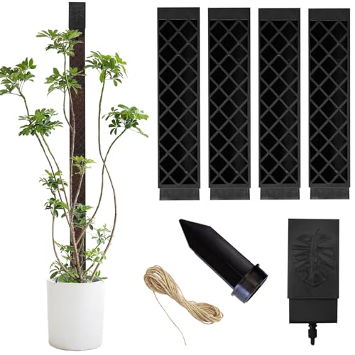 Moosstab,Monstera Rankhilfe 103cm,Moss Pole,Moosstab Pflanzstab,Rankhilfe für Zimmerpflanzen,Efeutute Pflanzenhalter,Pflanzenstützen für Zimmerpflanzen,für Haus Garten Pflanzenunterstützung Moosstab,Monstera Rankhilfe 103cm,Moss Pole,Moosstab Pflanzstab,Rankhilfe für Zimmerpflanzen,Efeutute Pflanzenhalter,Pflanzenstützen für Zimmerpflanzen,für Haus Garten Pflanzenunterstützung von GOUYENG