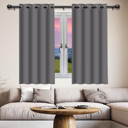 GOUZOO Verdunklungsvorhänge Gardinen 156 x 217 cm Isolierend Kälteschutz Sonnenschutz Thermovorhang Kälteschutz mit Ösen, Waschbar für Fenster Wohnzimmer, Hellgrau von GOUZOO