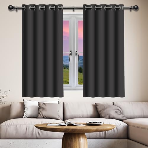 GOUZOO Verdunklungsvorhänge Gardinen 164 x 211 cm Isolierend Kälteschutz Sonnenschutz Thermovorhang Kälteschutz mit Ösen, Waschbar für Fenster Wohnzimmer, Dunkelgrau von GOUZOO