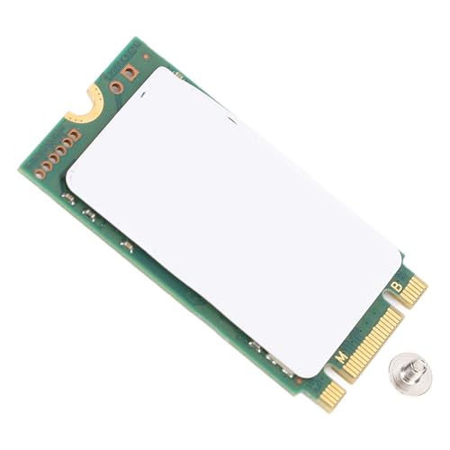 GOWENIC Interner Festkörperstaat, Tragbarer M.2 2242 SSD -Stecker und Spiele Effizienter Datenübertragung mit Schraube für PC -Desktop (SD) von GOWENIC