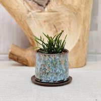 Mini Sukkulenten Übertopf Mit Drainage Und Untertasse Mini Sukkulenten Übertopf Mit Drainage Und Untertasse von GOceramics