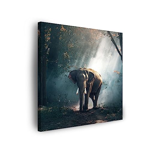 GP TONER Wandbilder Heimdekorationen Leinwandbild Leinwanddruck Tiere Elefant 40x40 cm Modern Kunstdruck Leinwandbilder für Ihr Zuhause oder Büro von GP TONER