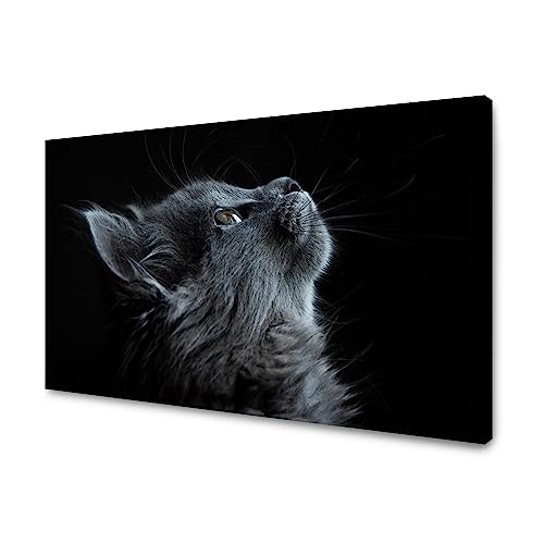 GP TONER Wanddekoration Kunstdruck modern Wandbilder Leinwanddruck Tiere Katze 60x40 cm von GP TONER