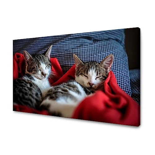 GP TONER Wanddekoration Kunstdruck modern Wandbilder Leinwanddruck Tiere schlafende Katzen 120x60 cm von GP TONER