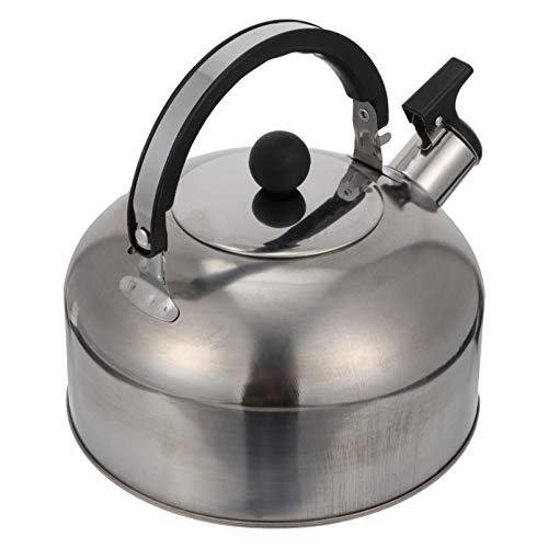 GPDMNBNX, Wasserflaschen Teepfeifenherd Teekanne Wasserkocher Kaffeekessel Teebereiter mit Griff for Zuhause im Freien(Silver) von GPDMNBNX