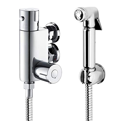 GPDNBIEU, Badezimmer-Thermostatventil-Brausebatterie-Set, Handbrause und mit verstellbaren 8-Zoll-Regenbrausearmaturen, Doppelkopf verchromtem Gehäuse(FXT) von GPDNBIEU