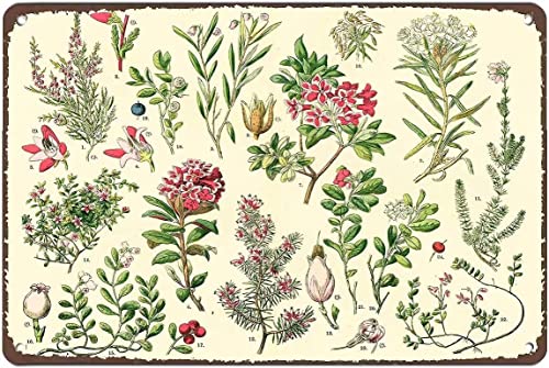 20,3 x 30,5 cm Vintage Rhododendron-Blechschild Metallposter Retro-Plakette Wanddekoration Geschenk für Garten Männer Höhle Garage Klassenzimmer Bibliothek Wohnzimmer Schule von GPFNMRSN