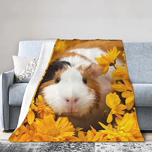 Cute Guinea Pig Pattern Flannel Blanket Ultra Soft Micro Fleece Throw Blankets Warm Air Conditioning Lightweight Bedding for Sofa Couch Chair All Season von GQWJKSZ