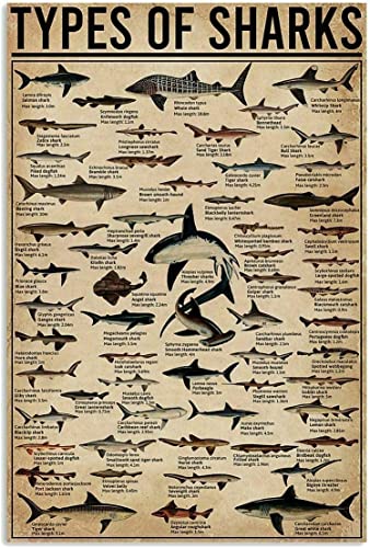 Lustige Arten von Hai-Poster, Hinweis für Taucher, als Dekoration, Badezimmer, Geschenk für Taucher, Schilder, Vintage-Straßenschilder, High Way, Metallblechschild, Außen- und Innenwand, Retro-Vintage von GQWJKSZ