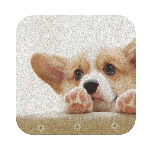 Niedliche Untersetzer aus Leder mit Corgi-Print, 4er-Set, Kaffee-Tee-Untersetzer, Vier Formen zur Auswahl Niedliche Untersetzer aus Leder mit Corgi-Print, 4er-Set, Kaffee-Tee-Untersetzer, Vier Formen zur Auswahl von GQWJKSZ