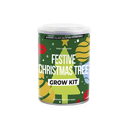 Weihnachtsbaum aus der Dose | Weihnachtsbaum | Grow Kit | Baum aus der Dose | Samen von GR Gift Republic