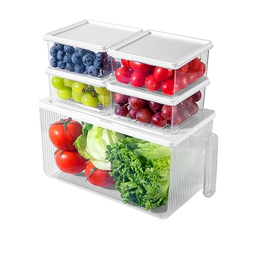 Kühlschrank Organizer Gemüse,Frischhaltedosen mit Deckel,Kühlschrank Aufbewahrung Obst für Küchen,Aufbewahrungsbox Kühlschrank,Kuhlschrankorganizer Set Stapelbar,Speisekammer,Gemischt Gemüse,BPA Frei von GRABADO
