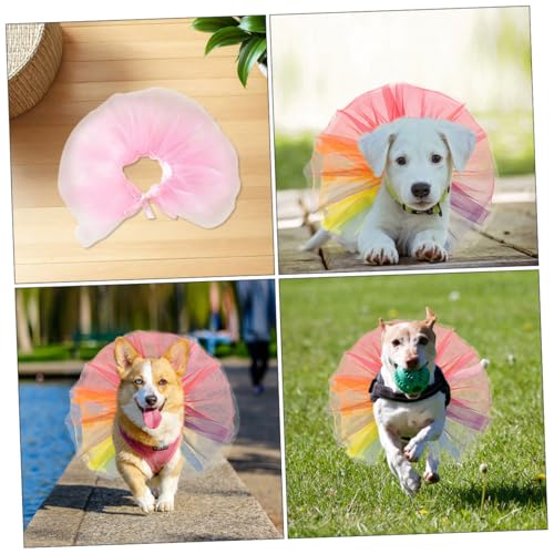 GRADENEVE 2stücke Hunde-Tutu Aus Tüll Für Kleine Hündinnen Bunte Haustierkleidung Für Geburtstagspartys Und Besondere Anlässe Mit Verstellbaren Bindebändern GRADENEVE 2stücke Hunde-Tutu Aus Tüll Für Kleine Hündinnen Bunte Haustierkleidung Für Geburtstagspartys Und Besondere Anlässe Mit Verstellbaren Bindebändern von GRADENEVE