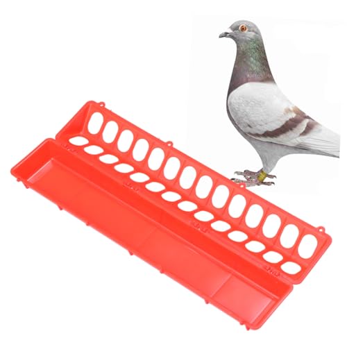 GRADENEVE Tauben futtertrog aus Robustem Lebensmittelechtem mit Mehreren Futterplätzen Leicht zu Reinigen Hygienisch und Sicher Geeignet für Papageien Wellensittiche Tauben und Kleine Vögel GRADENEVE Tauben futtertrog aus Robustem Lebensmittelechtem mit Mehreren Futterplätzen Leicht zu Reinigen Hygienisch und Sicher Geeignet für Papageien Wellensittiche Tauben und Kleine Vögel von GRADENEVE
